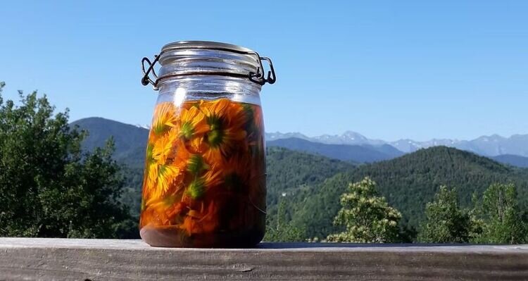 Portrait ou produits de : Atelier des champs