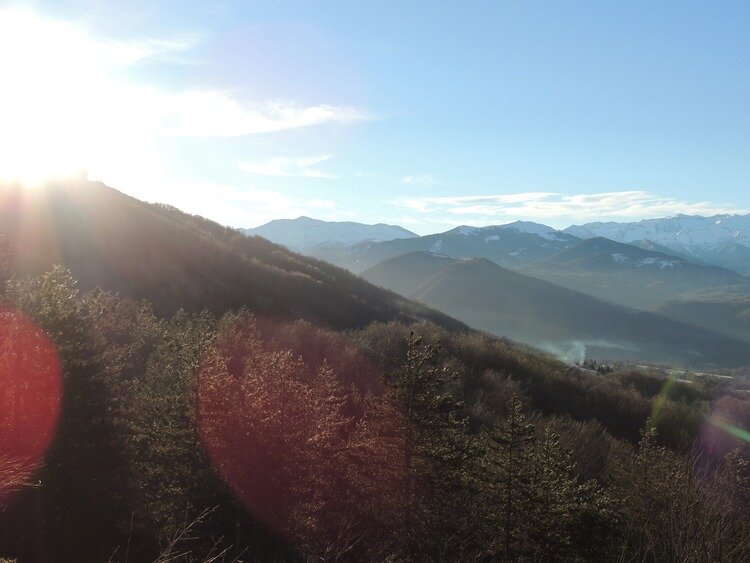 Portrait ou produits de : Ce petit bout de paradis