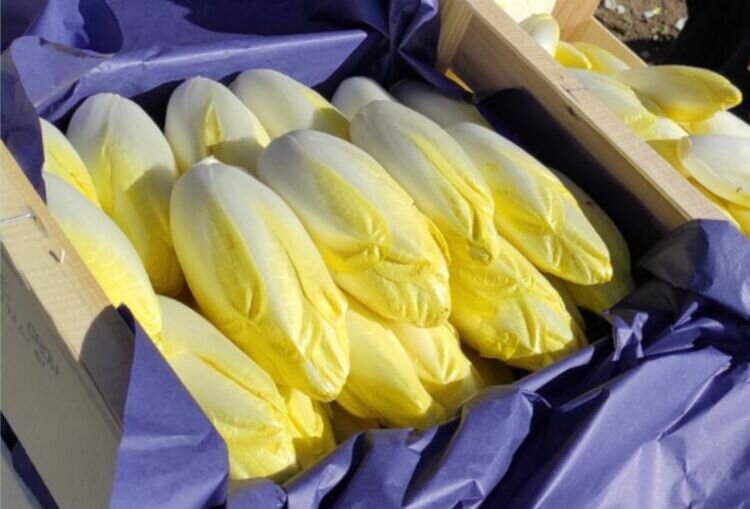 Portrait ou produits de : Au bon Terreau