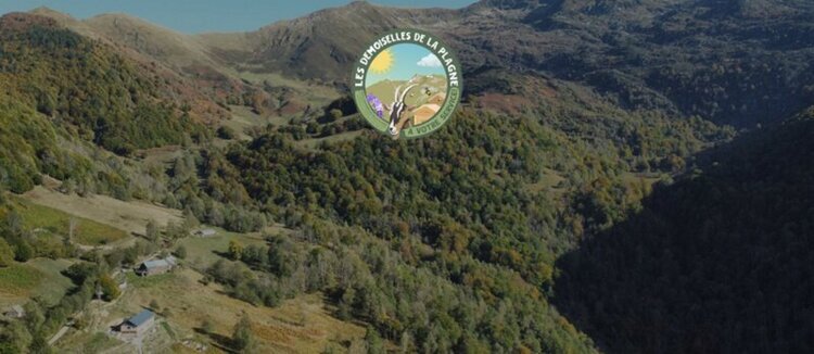 Portrait ou produits de : GAEC des Demoiselles de la Plagne