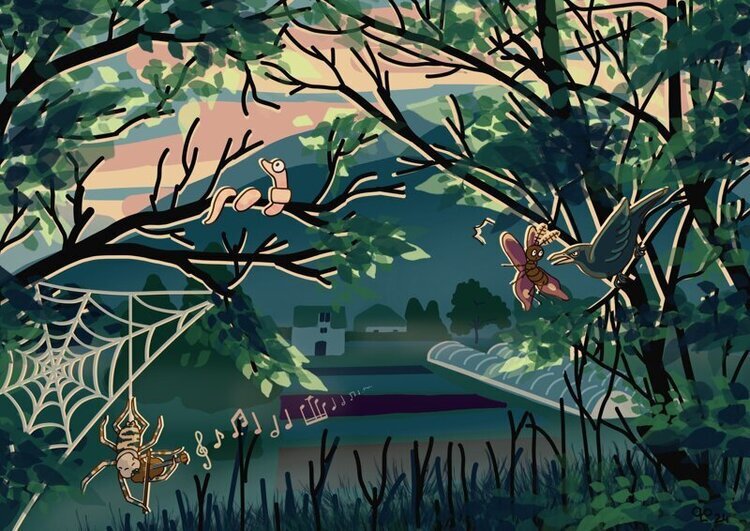 Portrait ou produits de : Des légumes et des rêves