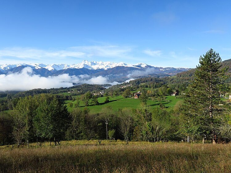 Portrait ou produits de : GAEC du Verger