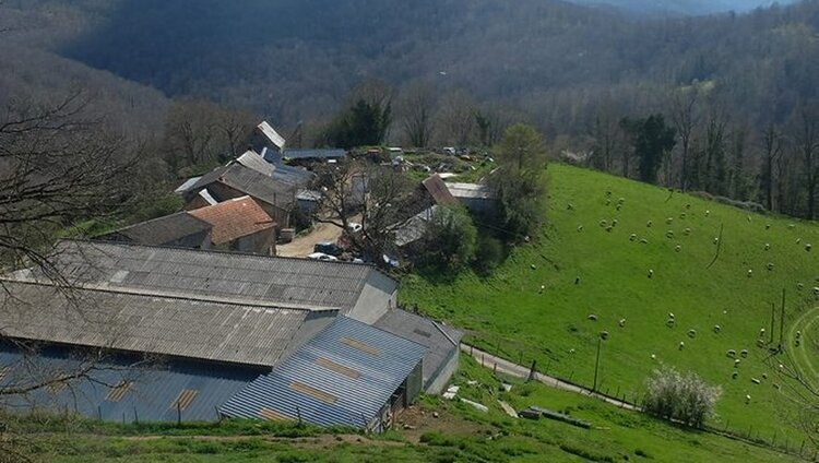 Portrait ou produits de : GAEC Galas d'en Haut
