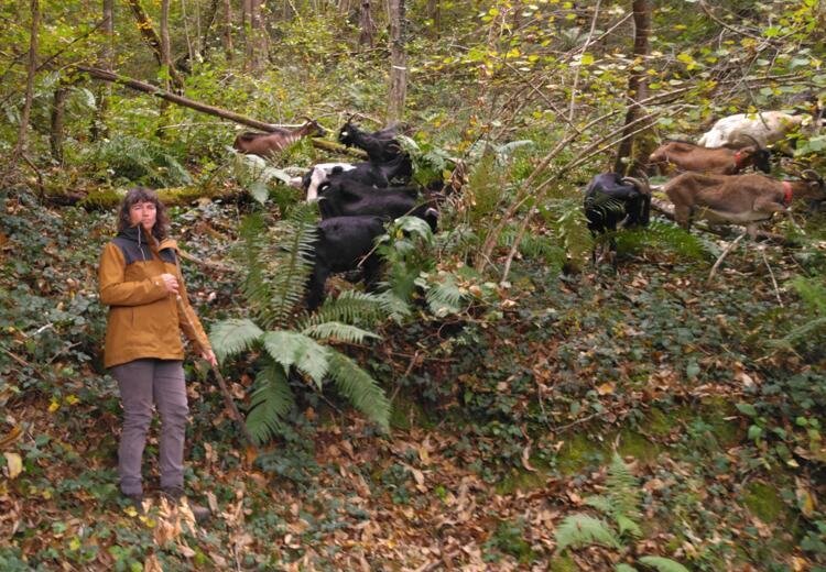 Portrait ou produits de : La chevrotine