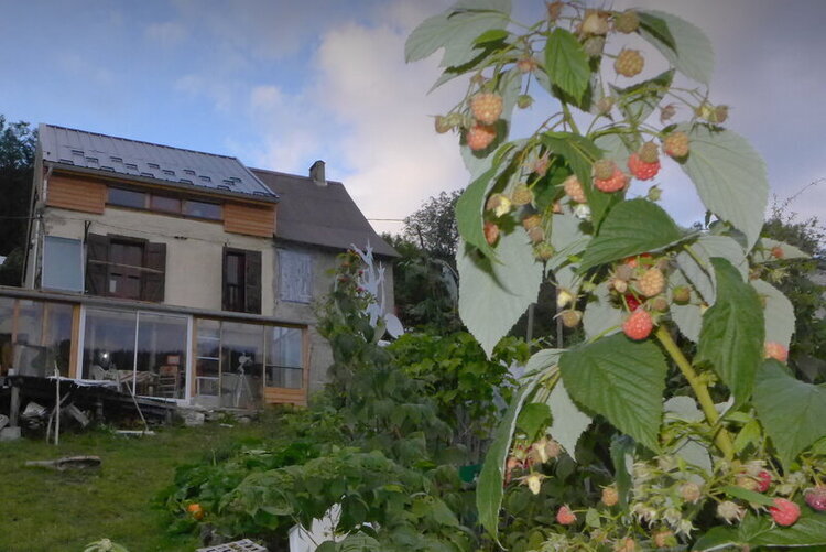 Portrait ou produits de : Regard dans les arbres